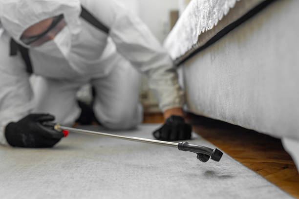 Professional Bed Bug Control technician working in Pittsfield, MA